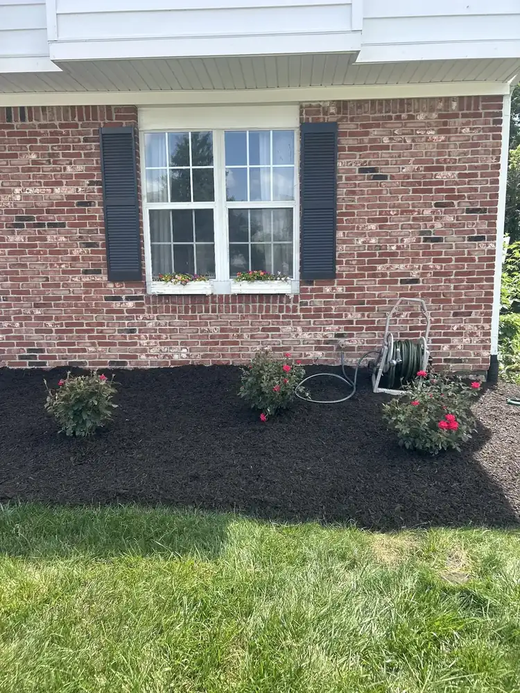 New mulch bed with flowering shrubs along a brick home