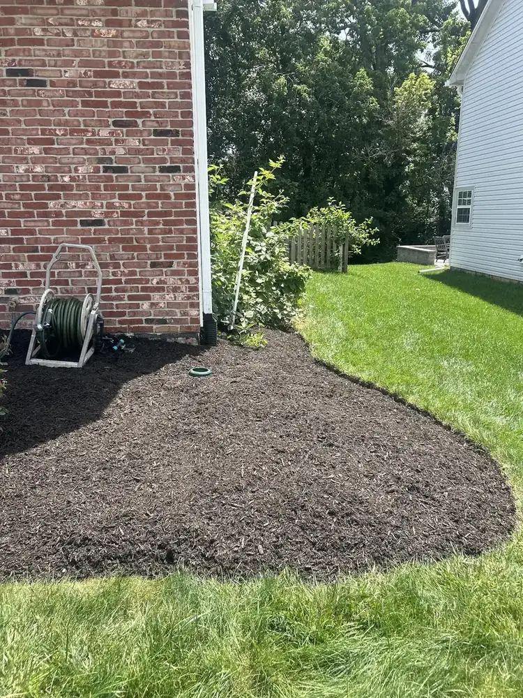 Cleaned and refreshed corner planting bed after a seasonal cleanup