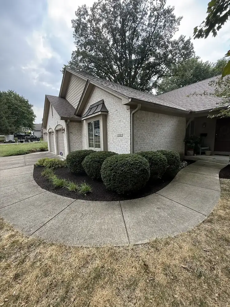 Rounded shrubs in a mulched bed along a curved front walk